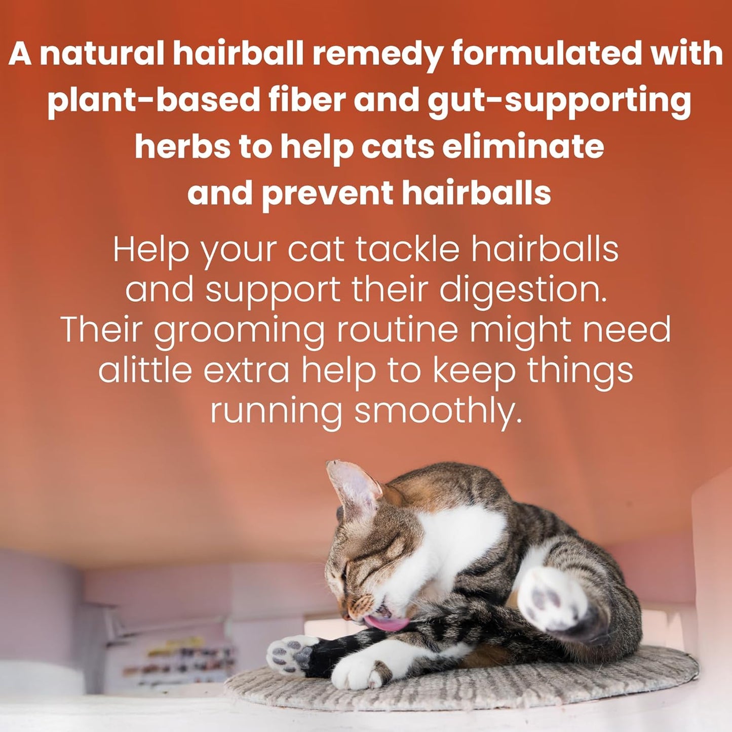 Bio PetActive CatiMalt Plus Hairball Remedy for Cats | All Natural Treats for Relief and Reduce Hair Ball | Kitty & Kitten Furball Control Creamy Gel | Soft Paste – 3.38 oz