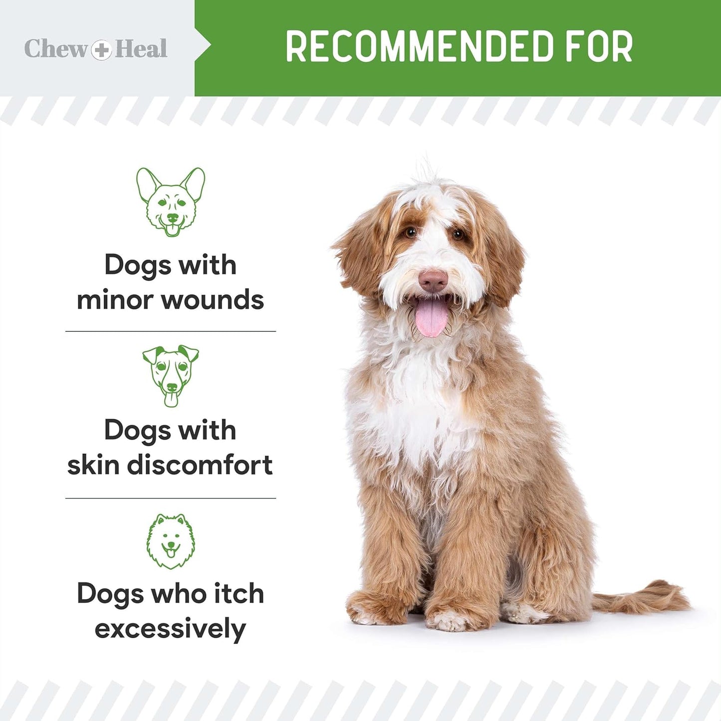 Soothe & Heal Fast - Natural Dog Wound Spray for Cuts, Hot Spots & Itchy Skin - Non-Toxic Hypochlorous Acid - Sting-Free Relief Made in USA, 4 oz