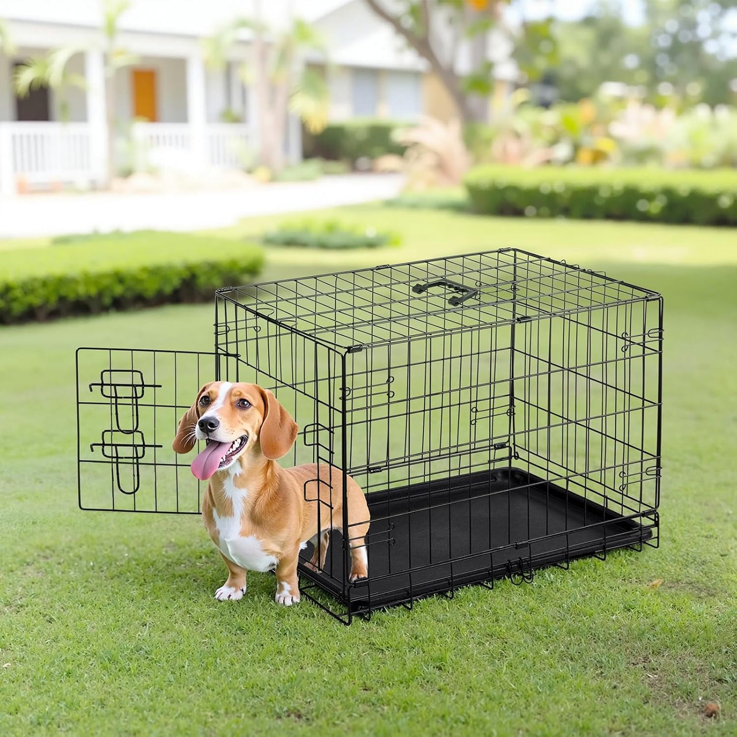 Sweetcrispy 24.4 Inch Single-Door Dog Crate, Durable Metal Pet Kennel with Secure Lock, Foldable Design, Removable Tray for Easy Cleaning, Small Dogs Training & Travel Portable Puppy Cage
