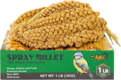 RANZ 1LBS Spray Millet Treat for Pet Birds, Hand-Harvested Bird Snack, Natural Sun-Dried Millet Spray for Parakeets, Parrots, Cockatiels, Lovebirds, Budgies, Finches, Canaries