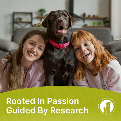 Dog Slow Feeder Bowl – Interactive Puzzle Feeder for Dogs – Fun Eating Game to Slow Down Fast Eaters – Non-Slip Design – Food & Water Bowl for Small, Medium & Large Dogs – Green