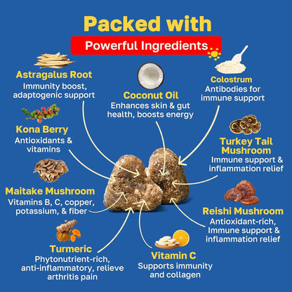 Happy Paws Turmeric Supplement for Dogs, Daily Wellness & Immunity Support for All Breeds & Ages, Made with Turmeric, Colostrum & Turkey Tail Mushrooms, Pumpkin Flavor, Non GMO, 100 Soft Chews