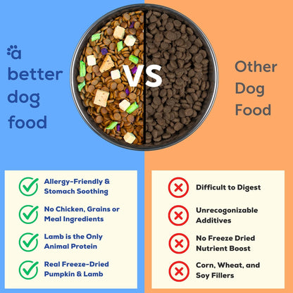 A Better Treat | Allergy Friendly Lamb Dry Dog Food | Raw You Can See | No Chicken, Lamb Only Animal Protein, No Meal Ingredients, Grain Free | Stomach Soothing Kibble + Freeze Dried Raw Dog Food