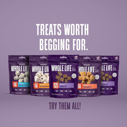 Whole Life Dog Mini Ones Beef Liver Freeze Dried Dog Treats - Human Grade High Protein Food, Healthy Training Snacks, Freeze Dried Food Toppers, USA Made Natural Treats - 6 oz (Pack of 1)