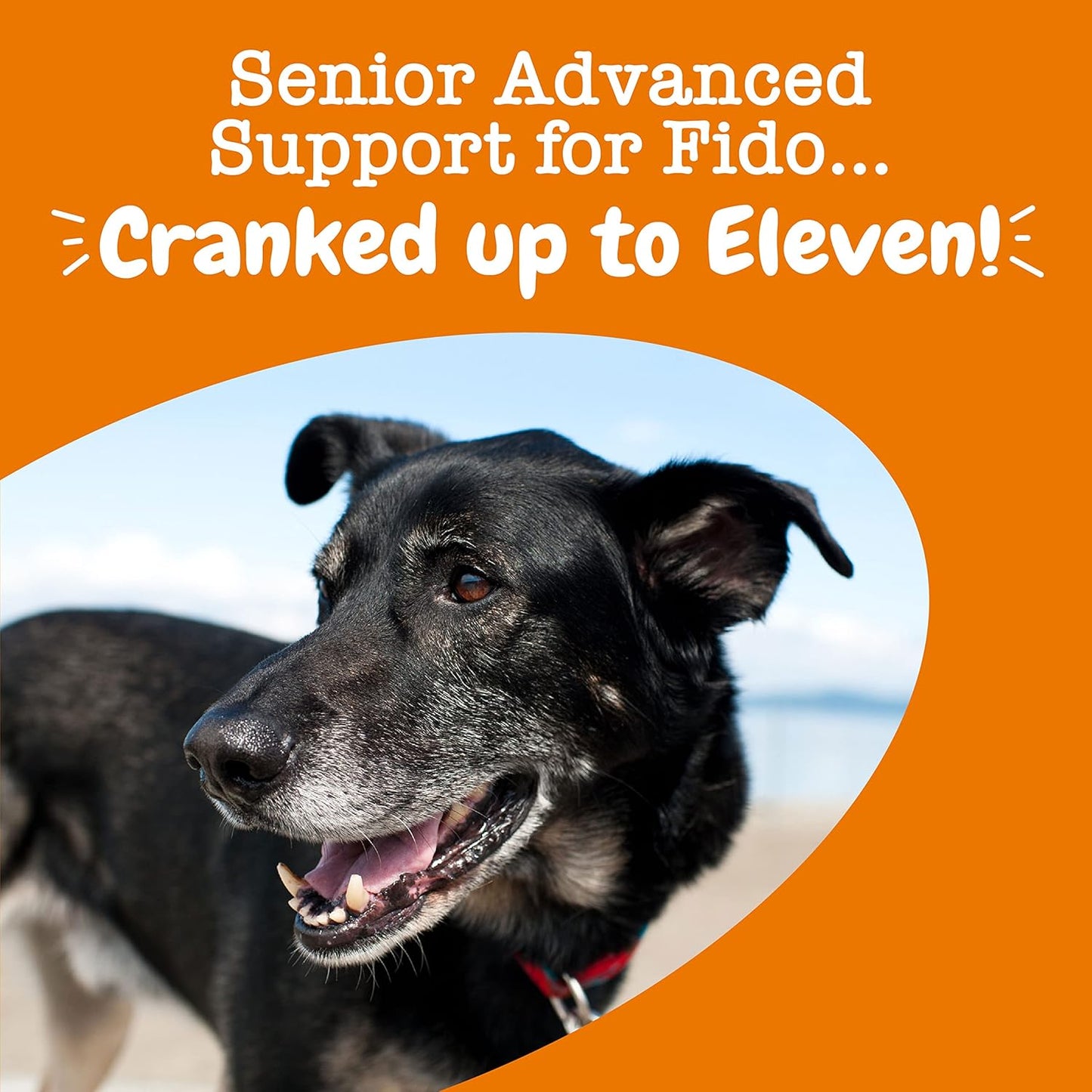 Zesty Paws Senior Dog Multivitamin Treats - Glucosamine for Dogs + Digestive Enzymes & Probiotics - Grain Free Dog Vitamins and Supplements for Skin & Coat + Immune Health Chicken - Advanced - 90ct