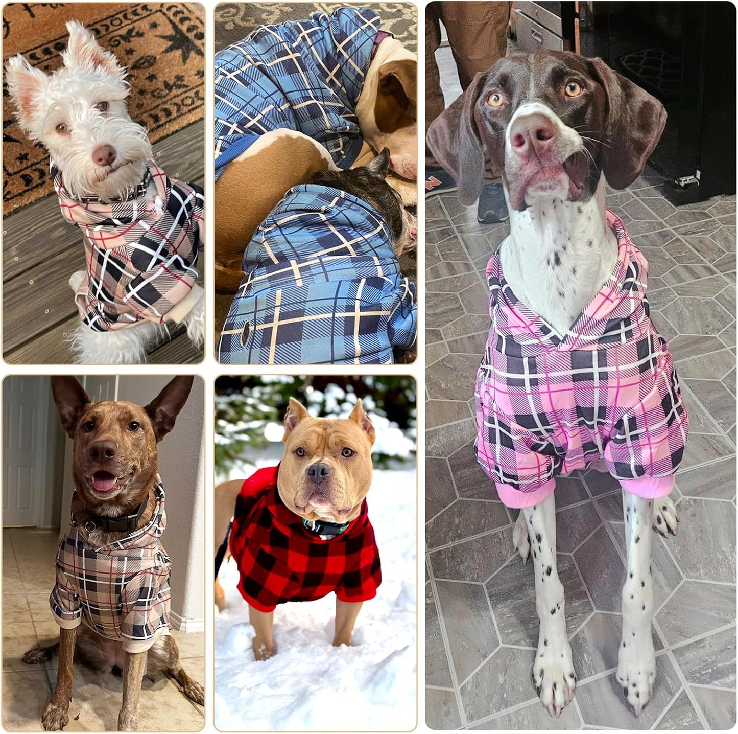 EXPAWLORER Plaid Dog Hoodie - British Style Warm Dog Sweater Shirt with Leash Hole,Pitbull Clothes Outfits,Winter Coat Apparel for All Breeds Puppy Girl Boy-Cat Apparel,Beige Small