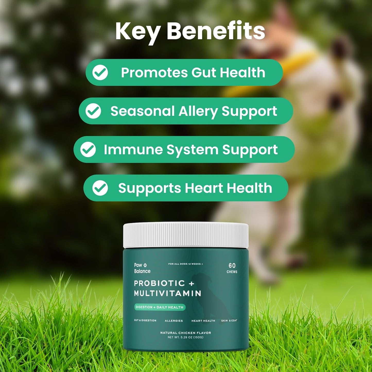 Dog Probiotic and Multivitamin Chews