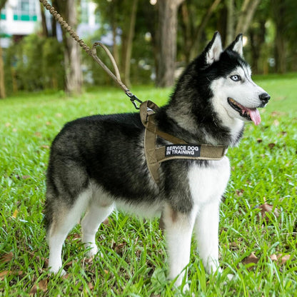 EXCELLENT ELITE SPANKER No Pull Dog Harness Padded Military Patrol Vest Adjustable Nylon Small Service Walking Dog Harness with Handle for Training Running(BLK-M)