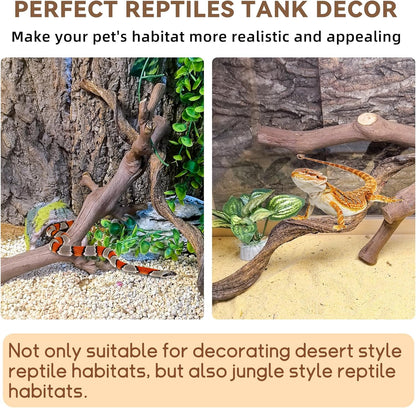 BNOSDM 2PCS Reptile Wood Branches, Snake Climbing Branch, Bearded Dragon Climbing Accessories, Lizard Habitat Decor, Terrarium Tree Trunk Ornament for Gecko Frog Chameleon Spider