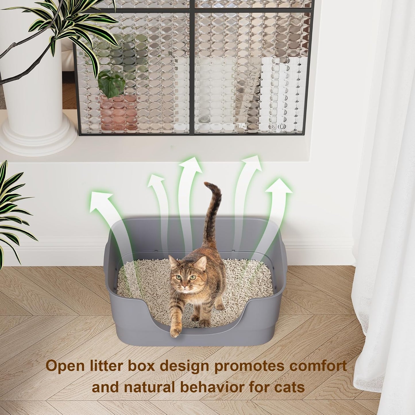 Extra Large Cat Litter Box for Big Cats - High Sides & Low Enter Design, 23.6x17.1x8.54 Inches Spacious Anti-Spill Pet Toilet（Grey）