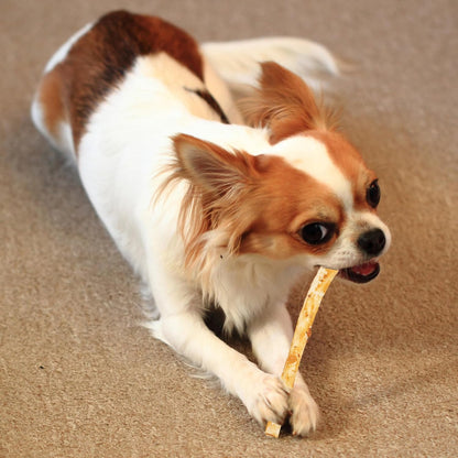 Fieldcrest Farms Nothin' to Hide Twist Stix Dog Chews - Natural Rawhide Alternative Treats for Dogs, Collagen Based Snack for Moderate Chewers Up to 15lbs, Allergen-Free Peanut Butter Flavor, 10 Pcs