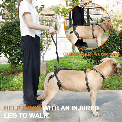 COODEO Professional Dog Sling for Hind Leg Support - Aid for Post-ACL/TPLO Surgery & Senior Dogs, Secure,Breathable & Machine-Washable with Reflective Edging for Safe Walks (Black, M)