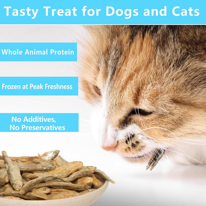 Minnows - 8.5 oz Freeze Dried Minnows for Cats & Dogs - 100% Natural Premium Cat & Dog Treat (8.5 OZ)