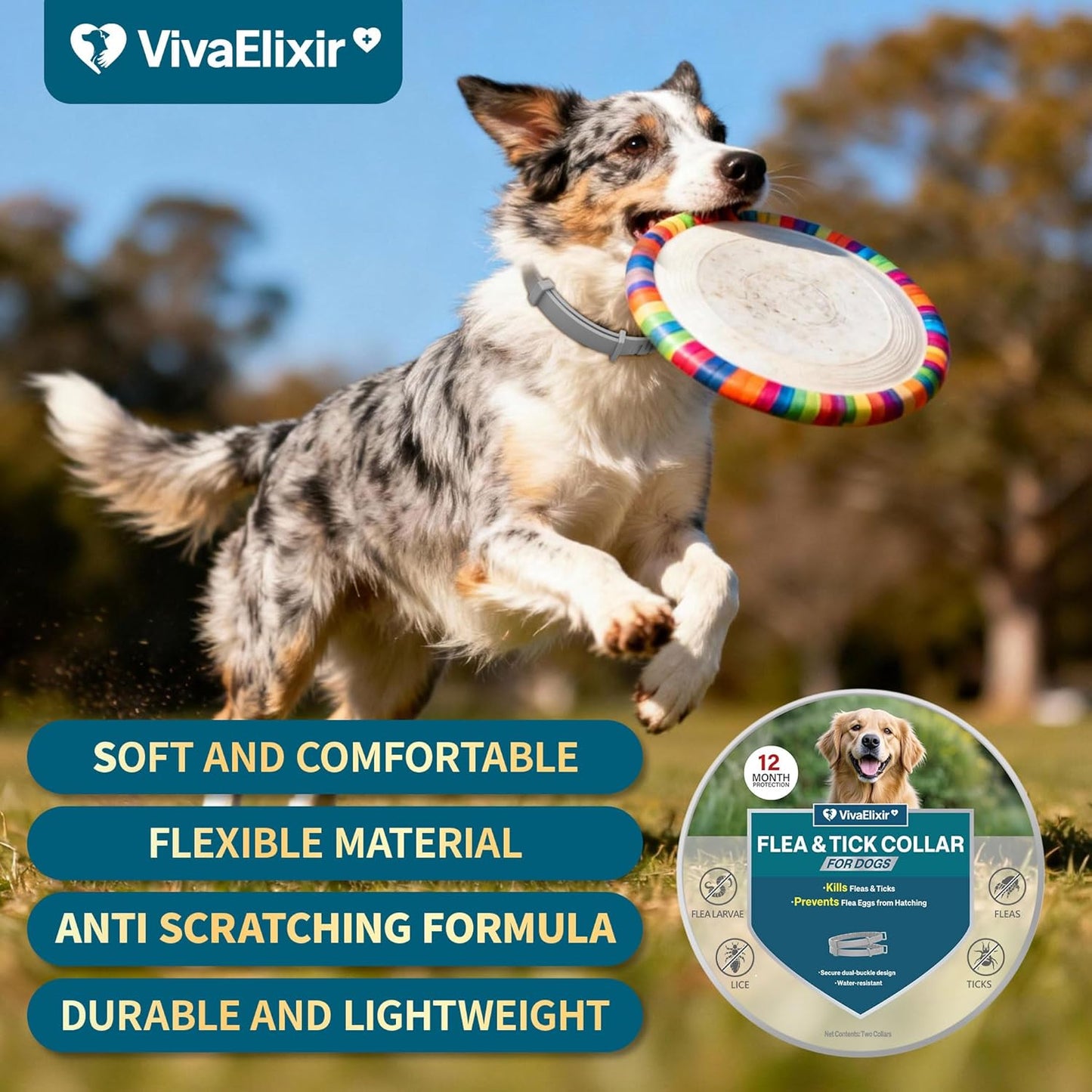 Flea Collars for Dogs, Dog Flea & Tick Control Flea Collar 12 Months Protection, Waterproof Dog Flea Collar, Flea Prevention for Dogs with Comb and Prevention Treatment Drop, 2Pack