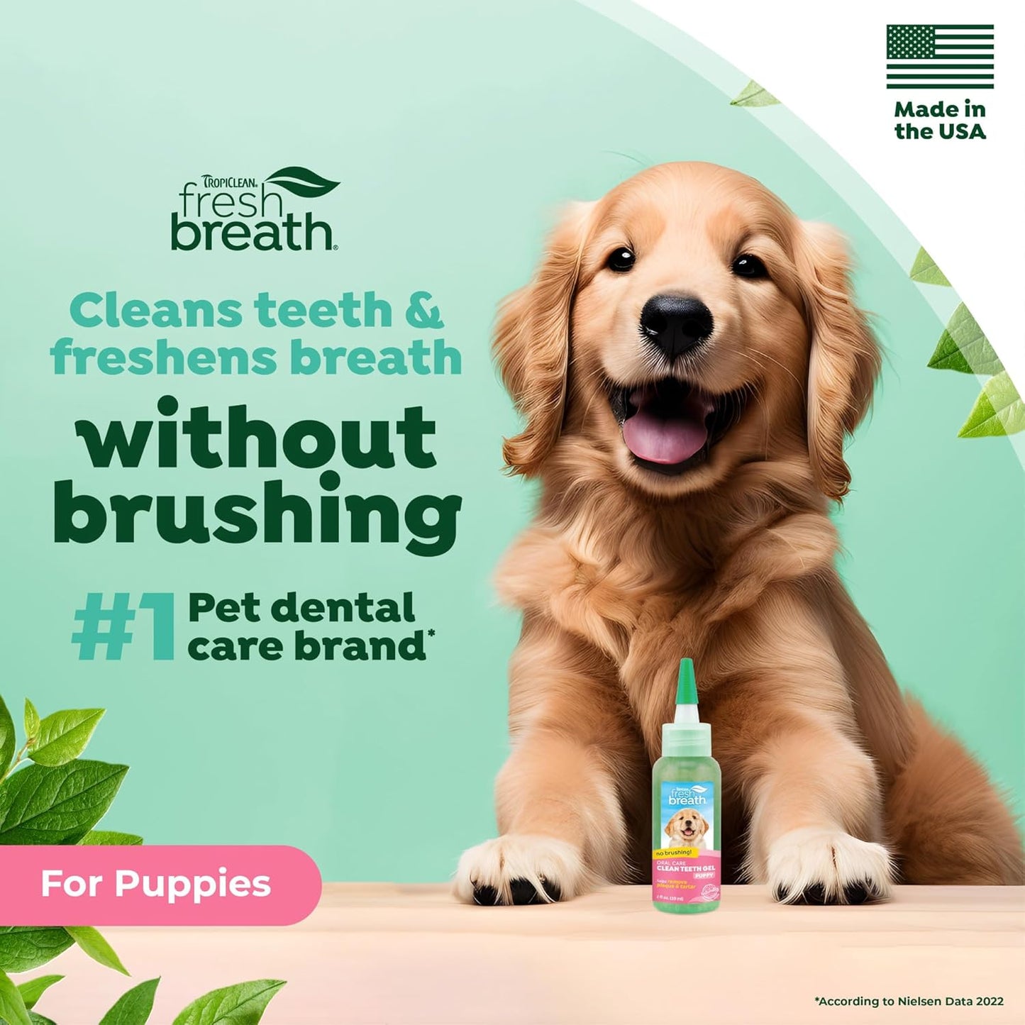 TropiClean Fresh Breath Dog Toothpaste for Teeth Cleaning, Breath Freshener, Easy to Use Plaque & Tartar Remover Gel, No Toothbrush Needed, 2oz.