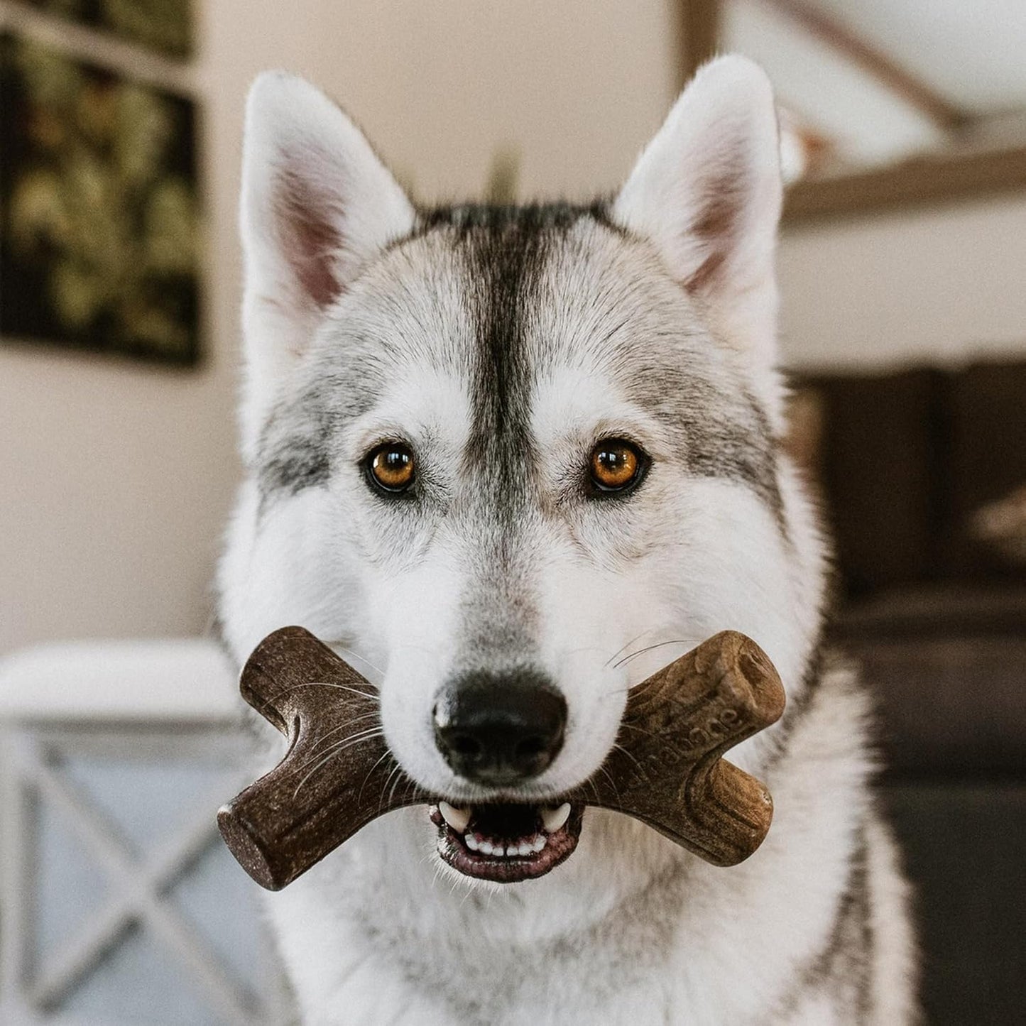 Lumabone Real Bacon Medium 3-Pack Durable Dog Chew Toys for Aggressive Chewers, Made in USA – Wishbone, Zaggler, Stick