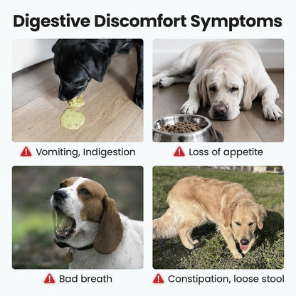 Probiotics Supplement Chews for Dogs, Support Digestive and Gut Health, with Prebiotics & Enzymes for Diarrhea and Upset Stomach Relief, Chicken Flavor 100ct