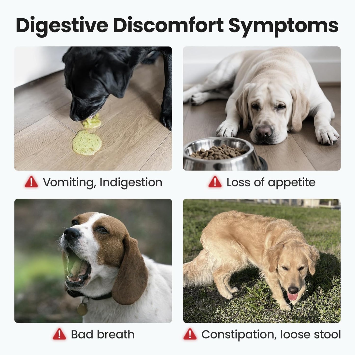 Probiotics Supplement Chews for Dogs, Support Digestive and Gut Health, with Prebiotics & Enzymes for Diarrhea and Upset Stomach Relief, Chicken Flavor 100ct