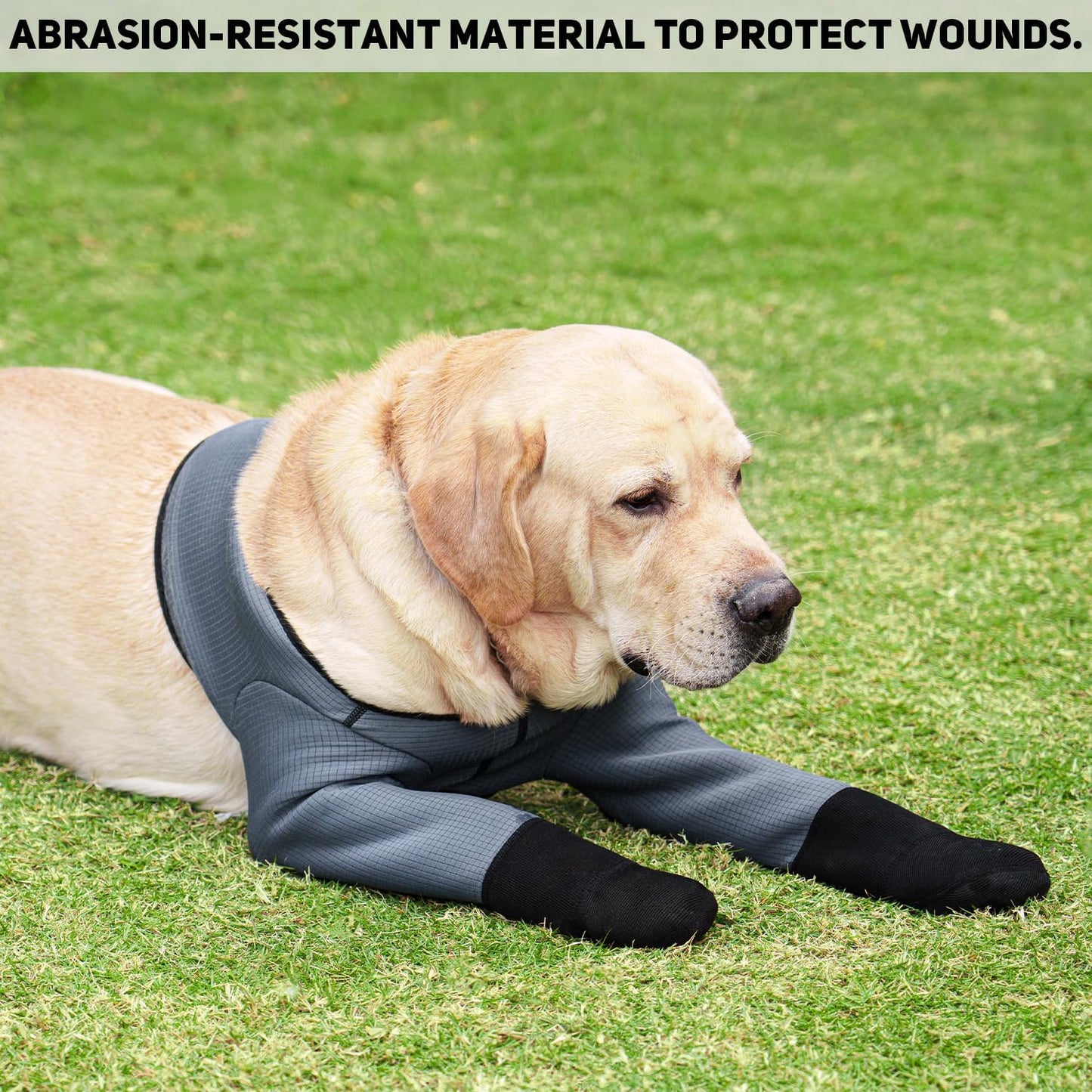 Dog Socks & Boots - Waterproof Anti-Licking Paw Protectors with Non-Slip Bottom, Post-Surgery Recovery Sleeves for Wound Protection (Grey, M)