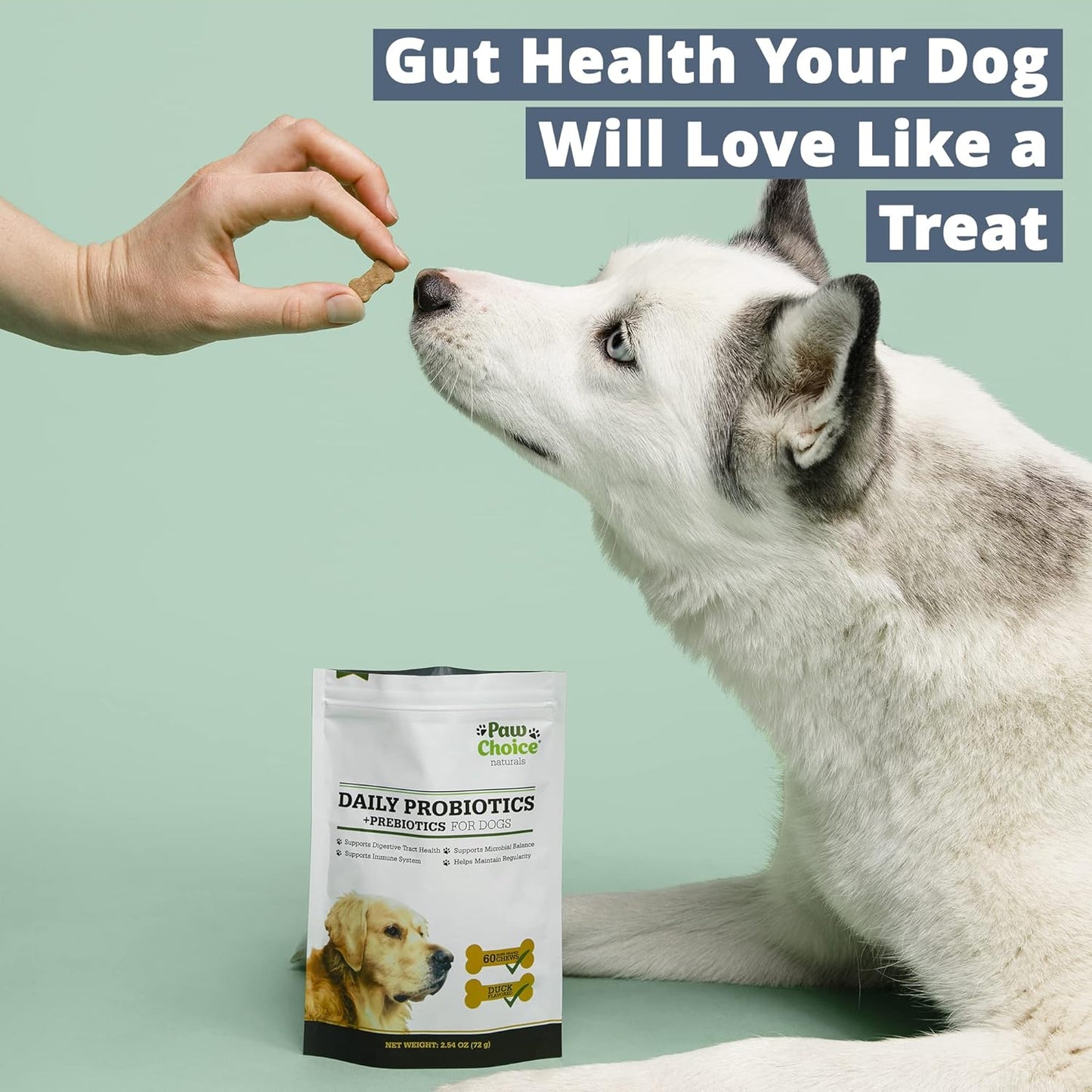 Paw Choice Probiotics for Dogs with Prebiotics - Daily Chews for Gut Health, Digestion, Regularity, and Immune Support - Natural Supplement Treat Made in USA