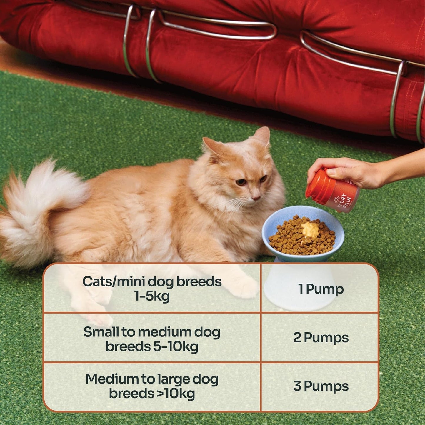 Notti Itchy Skin Allergy Relief - Omega 3 Fish Oil - Itchy Ears - High Concentration - Norwegian Salmon & Krill Oil Pet Supplement for Cats and Dogs - DHA - Probiotics - Joint