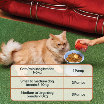 Notti Itchy Skin Allergy Relief - Omega 3 Fish Oil - Itchy Ears - High Concentration - Norwegian Salmon & Krill Oil Pet Supplement for Cats and Dogs - DHA - Probiotics - Joint