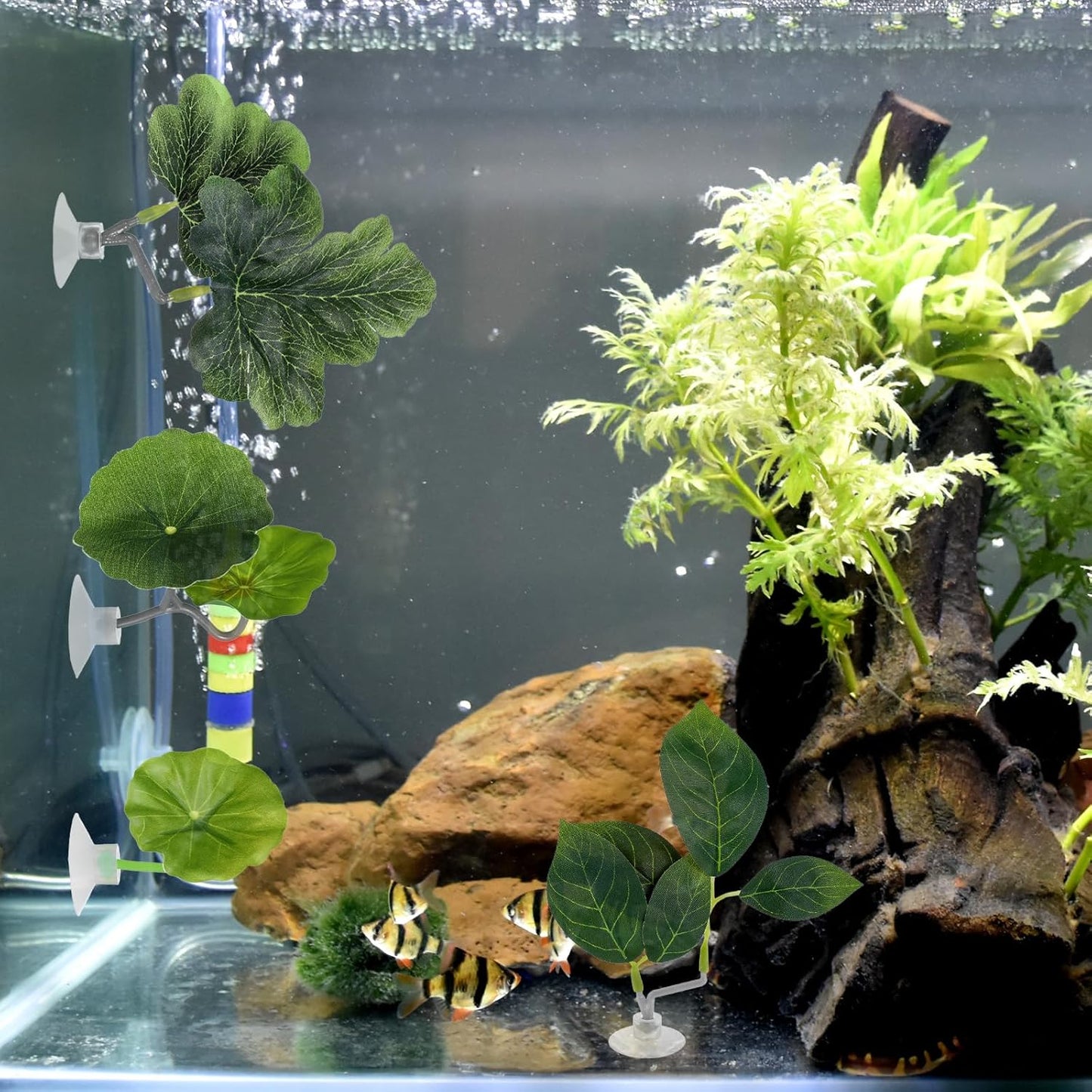 6 PCS Betta Fish Hammock Betta Leaf Aquarium Décor Simulating the Natural Habitat Fish Tank Accessories Multi Leaf Design with Suction Cup for Sleeping Resting Hiding Playing Breeding(Various Shapes)