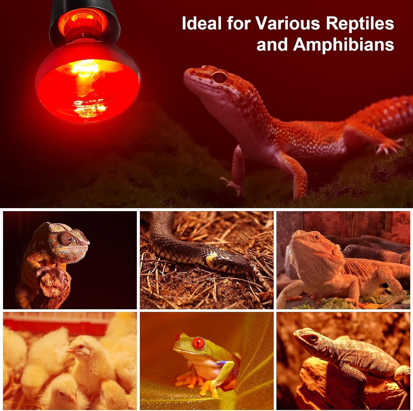 MIXJOY 150W Infrared Heat Lamp Bulbs, 2 Pack Reptile Infrared Heat Emitter Red Heat Lamp Bulbs Infrared Basking Light Bulbs for Reptiles, Bearded Dragon, Lizard, Tortoise, Chickens, Pets
