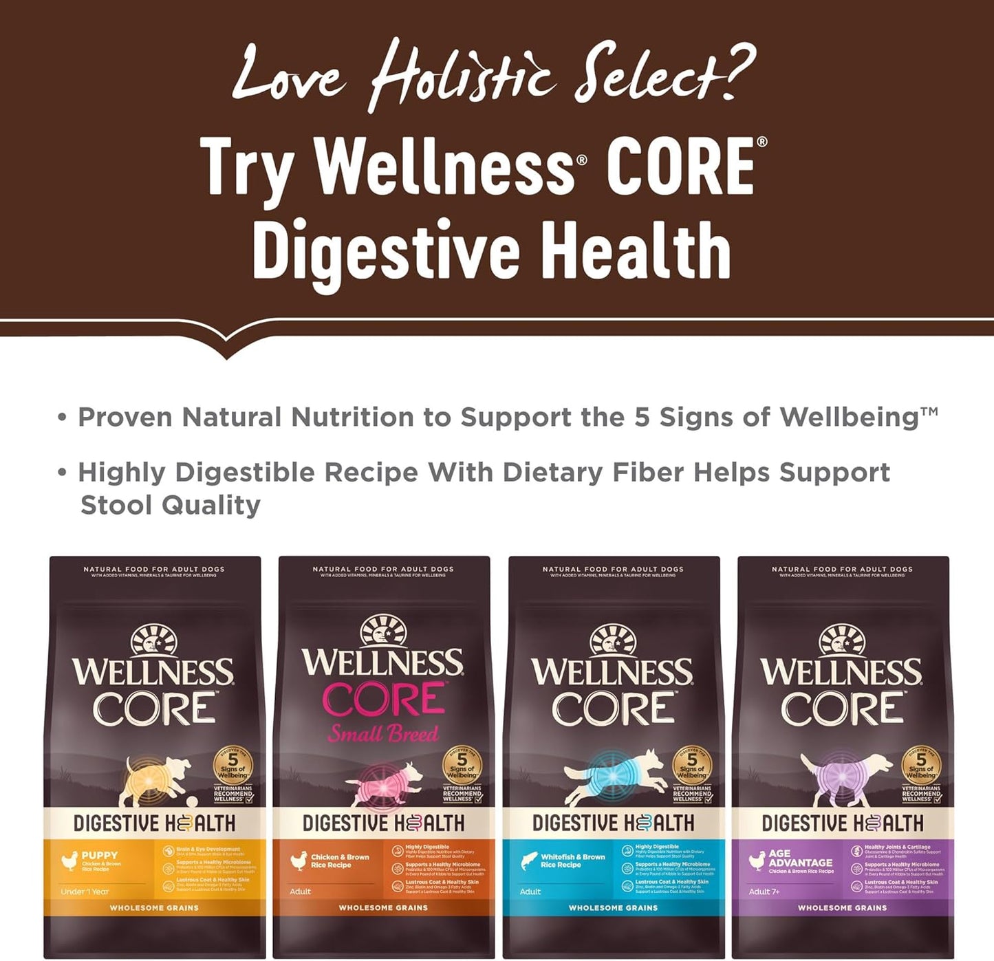 Holistic Select Natural Pet Food Holistic Select Natural Grain Free Dry Dog Food, Senior Chicken Meal & Rice Recipe, 24-Pound Bag