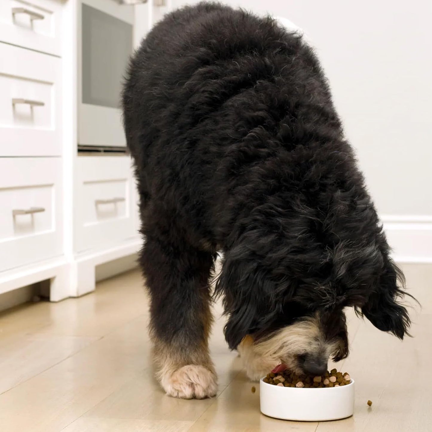 Open Farm, RawMix Grain-Free Dry Dog Food, Protein-Packed Kibble Coated in Bone Broth with Freeze Dried Raw Chunks, Beef Pork & Lamb, Front Range Recipe, 20lb Bag