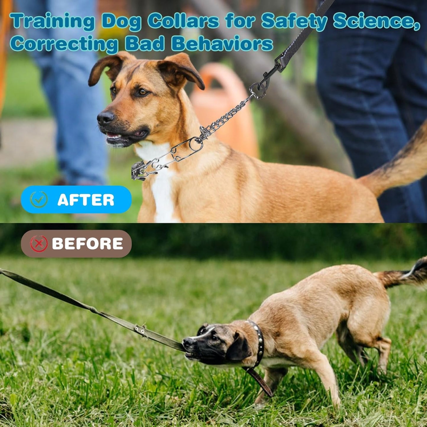 Prong Collar for Dogs,Dog Training Collar with One Professional Training Leash,Adjustable Pinch Collar with Quick Release Metal Buckle, No Pull Choke Collar for Small Medium Large Dogs（Silver, XL）.
