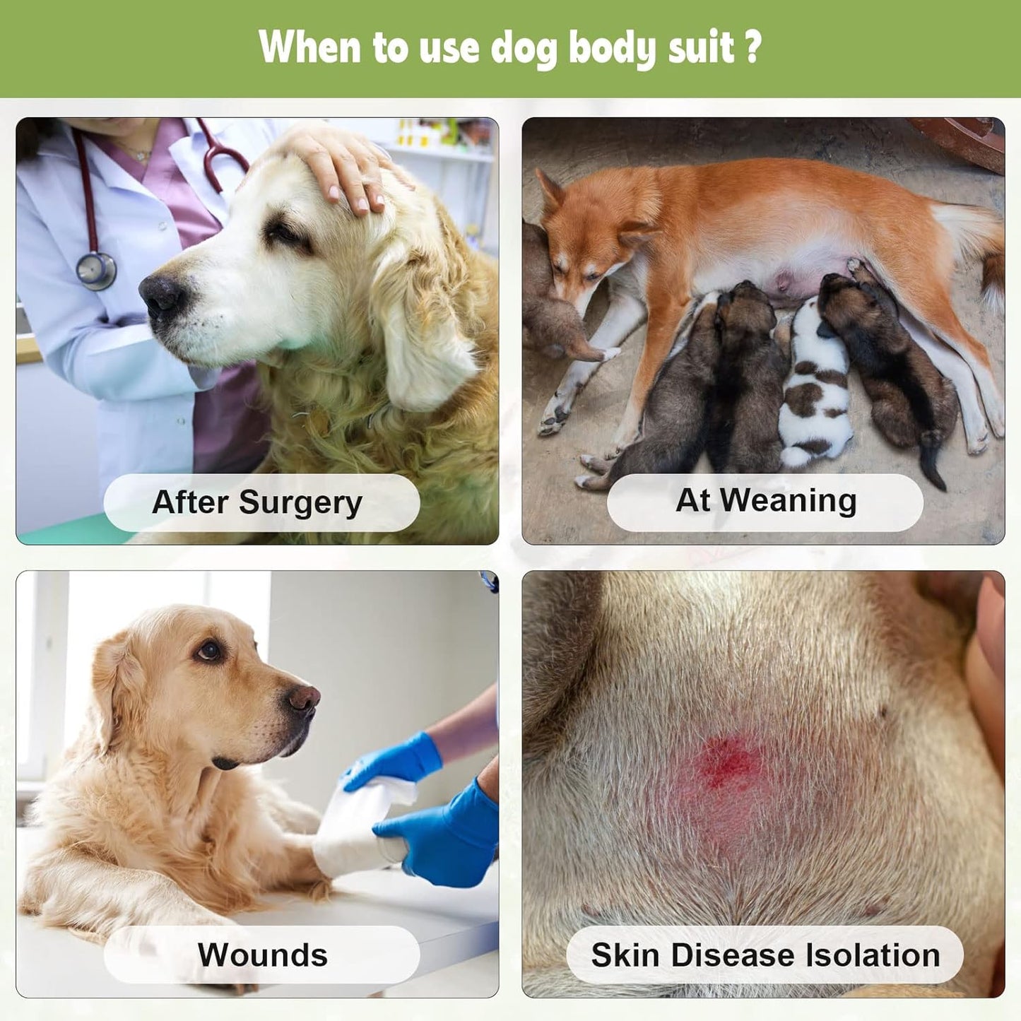 2 Packs Breathable Cotton Dog Recovery Suit for After Neuter Spay Abdominal Wounds Protector, Professional Anti-Licking Onesies for Male Female Pets Surgery Bandages, XL Blue & Green Stripes