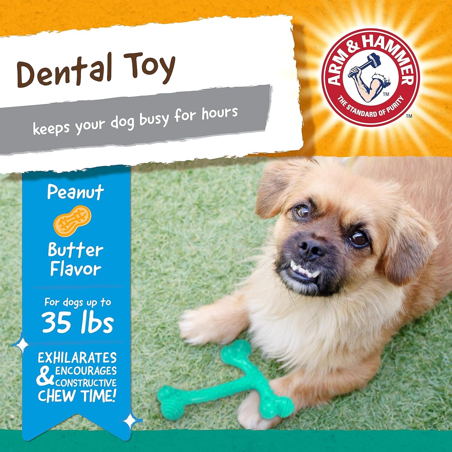 Arm & Hammer Nubbies T-Bone Dental Dog Chew Toys, Peanut Butter Flavor - Durable Nylon Chewing Toys for Dogs, Done Bone Toy, Teeth Cleaning Bones for Chewers Help Remove Plaque and Tartar