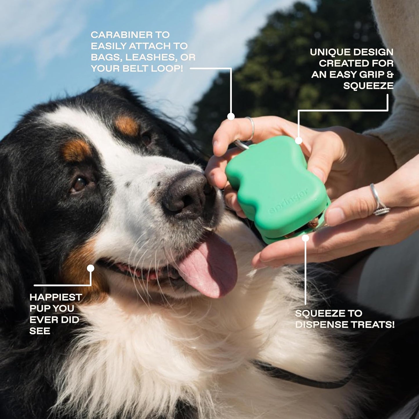 Springland by Springer Dog Treat Pouch for Effort-Free Squeeze Dispensing - Easy-Fill, Food-Grade Silicone Treat Pouches for Pet Training - Includes Carabiner-Black