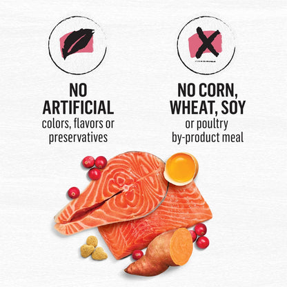 Purina Beyond Natural Grain Free Dry Cat Food Simply Indoor Salmon, Egg and Sweet Potato Recipe - 11 lb. Bag