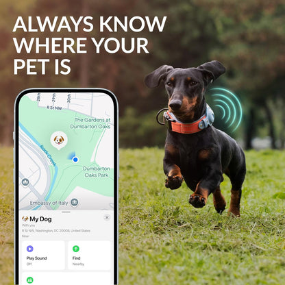 CollarDirect Airtag Dog Collar Reflective Nylon Neoprene Leather Holder for Apple Air Tag for Large, Medium, and Small Dogs (Pink, M, 13.5-16.5 Inch)