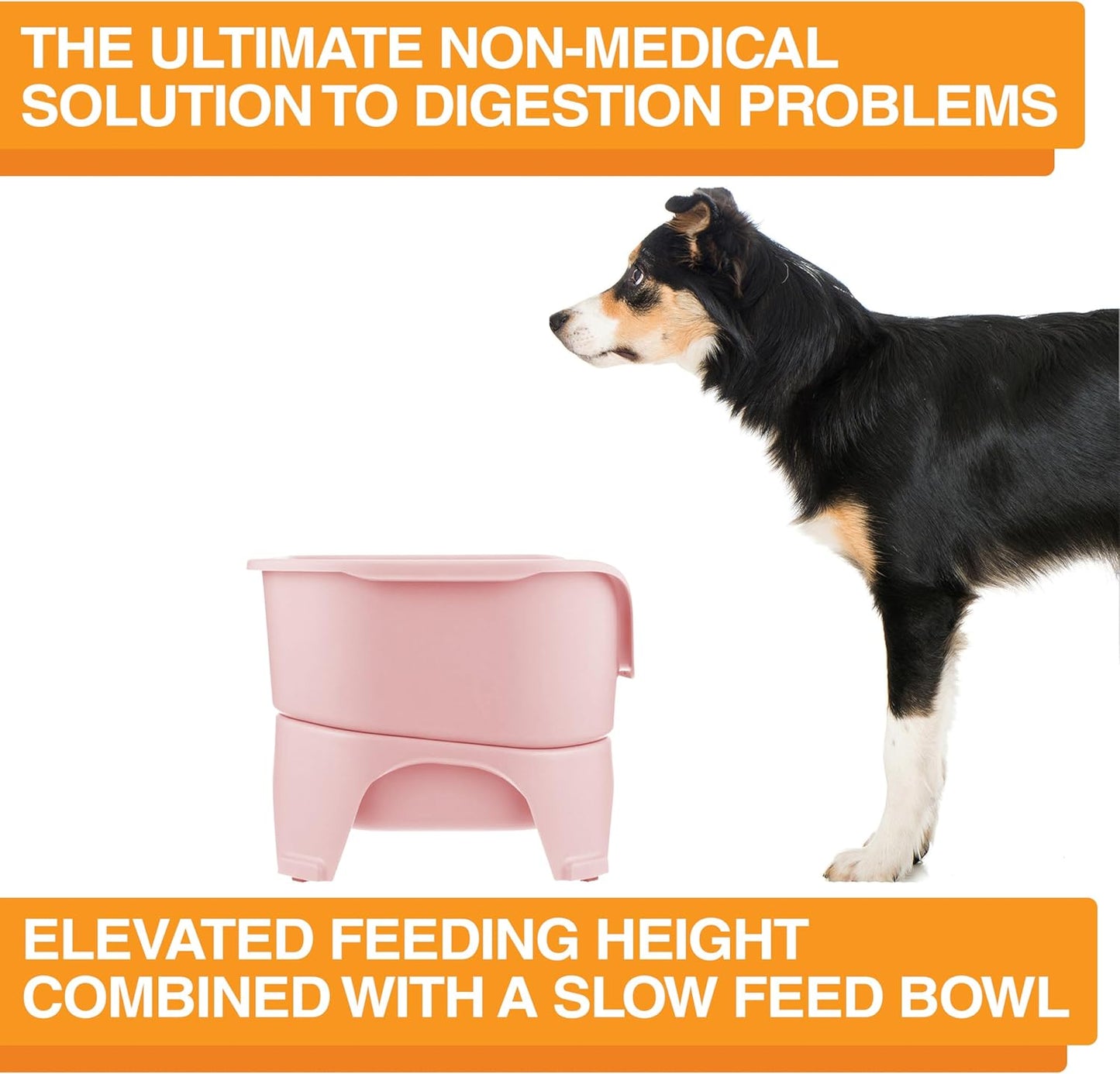 Neater Feeder Express Mess Proof Dog Bowls Elevated for Medium and Large Breed – Made in USA – No Spill Raised Slow Feeder Elevated Dog Bowl Stand, Slow Feed Food and Water Bowl Set, Pink