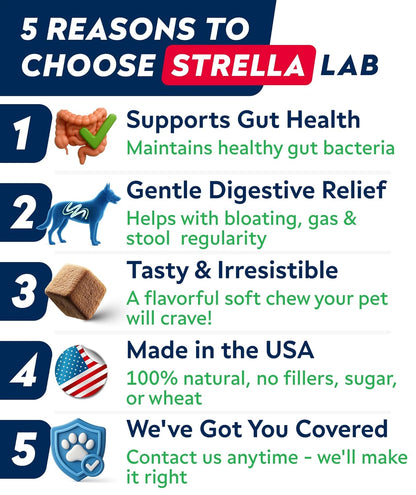 STRELLALAB Dog Probiotics for Digestive Health & Enzymes - Diarrhea, Gas, Upset Stomach Relief & Season Allergy - Pet Probiotics for Dogs- Chews for Digestion - Gut Health for Dogs (60Ct)