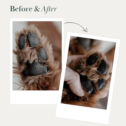 Nina Woof Pet Care Bundle: 70 Biodegradable Dog Wipes & Vegan Paw & Nose Balm - Aloe Vera, Shea Butter, Natural Grooming for Paws, Face & Body