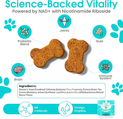 Anti-Aging Dog Supplement – Soft Chews for Senior Dogs with NAD+ Support from Nicotinamide Riboside, Omega-3, Amino Acids, Probiotics – Brain, Joint & Immune Health – Bacon Flavor – 100 Count