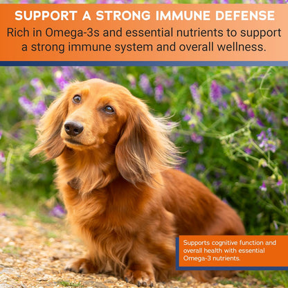 Stratford Pharmaceuticals EZ Chew Omega 3 Fatty Acid Soft Chew Max Strength - Dog Omega 3 Supplement - Soft Chew Treats with Fish Oil for Dogs - Small and Medium Dogs - 60 Soft Chews