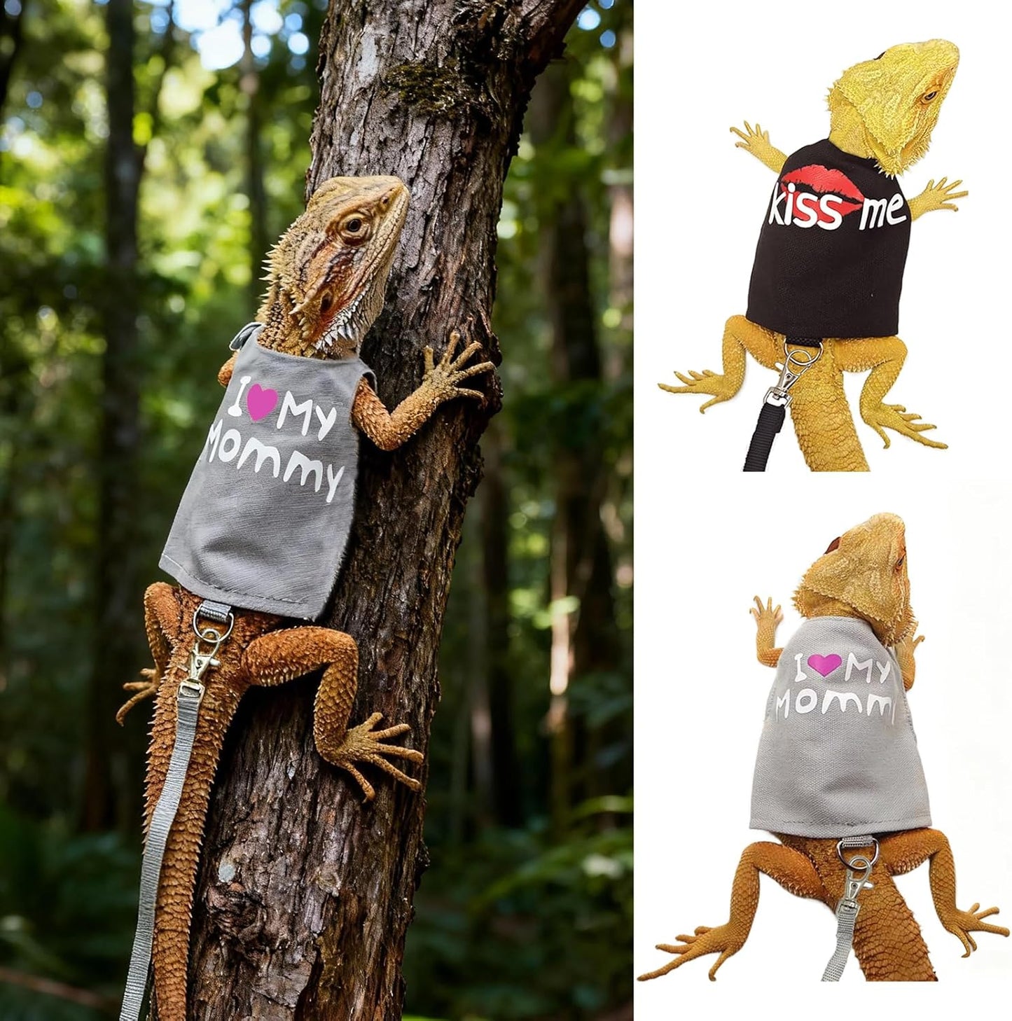 Adjustable Bearded Dragon Harness & Leash Set with Costume Clothes – Handmade Reptile Walking Outfit for Lizards, Chameleons, Small Pets & Guinea Pigs, Halloween Photo Prop & Dress-Up