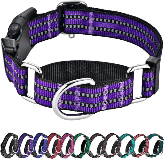 Hikiko Martingale Collar for Dogs Reflective Nylon Dog Collar with Quick Release Buckle Adjustable Training No Slip Dog Collar (Large, Purple)