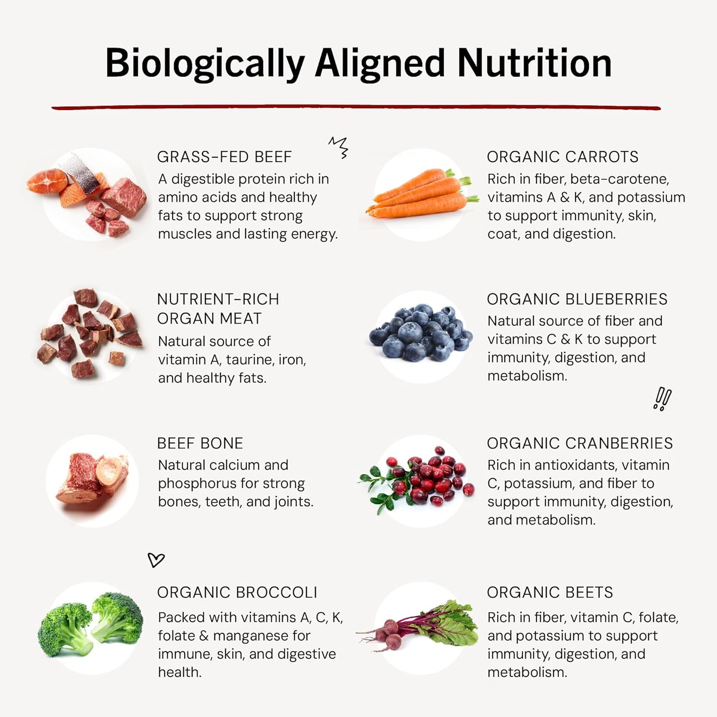 Stella & Chewy's Freeze Dried Raw Dinner Patties – Crafted for Puppies – Grain Free, Protein Rich Perfectly Puppy Beef & Salmon Recipe – 14 oz Bag