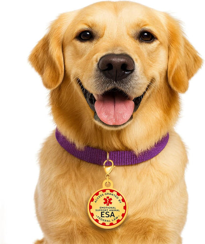 ESA Tag Gold - Protected by Law Emotional Support Pet ID Tag, Easily Attach to Collar, Harness and Service Vest, Lightweight Travel-Ready ESA Collar Tag YA6312-Gold