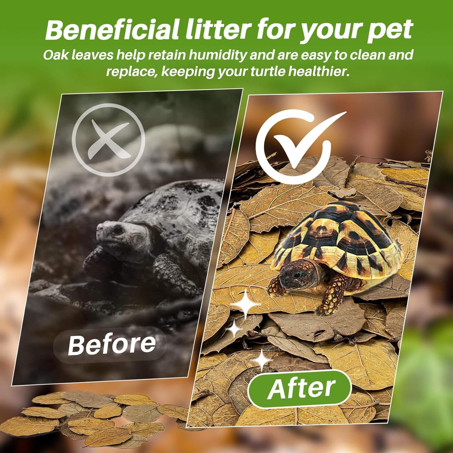 MAQIHAN 7 OZ Dry Oak Leaf Litter - Leaf Litter for Reptiles Oak Leaves for Isopods Live Substrate for Snakes, Frogs, Isopods, Terrarium Bedding