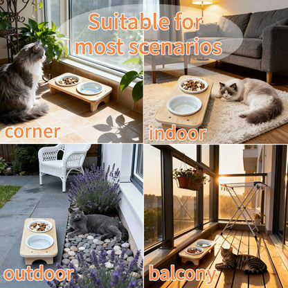 15° Tilted Elevated Cat Bowls with 2 Ceramic Dishes & Wood Base - Anti-Vomit Raised Feeder Station for Indoor Cats & Small Dogs, Dishwasher Safe