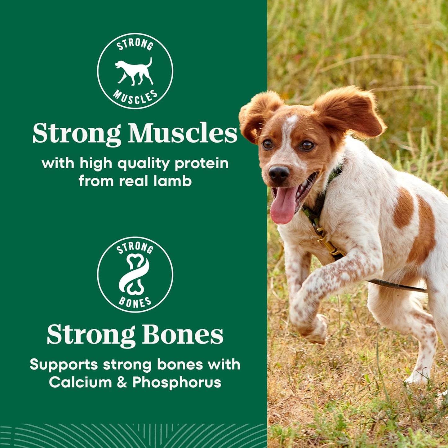 Nutro Natural Choice Adult Small Bites Dog Food, Salmon & Brown Rice Recipe, 28 lb. Bag