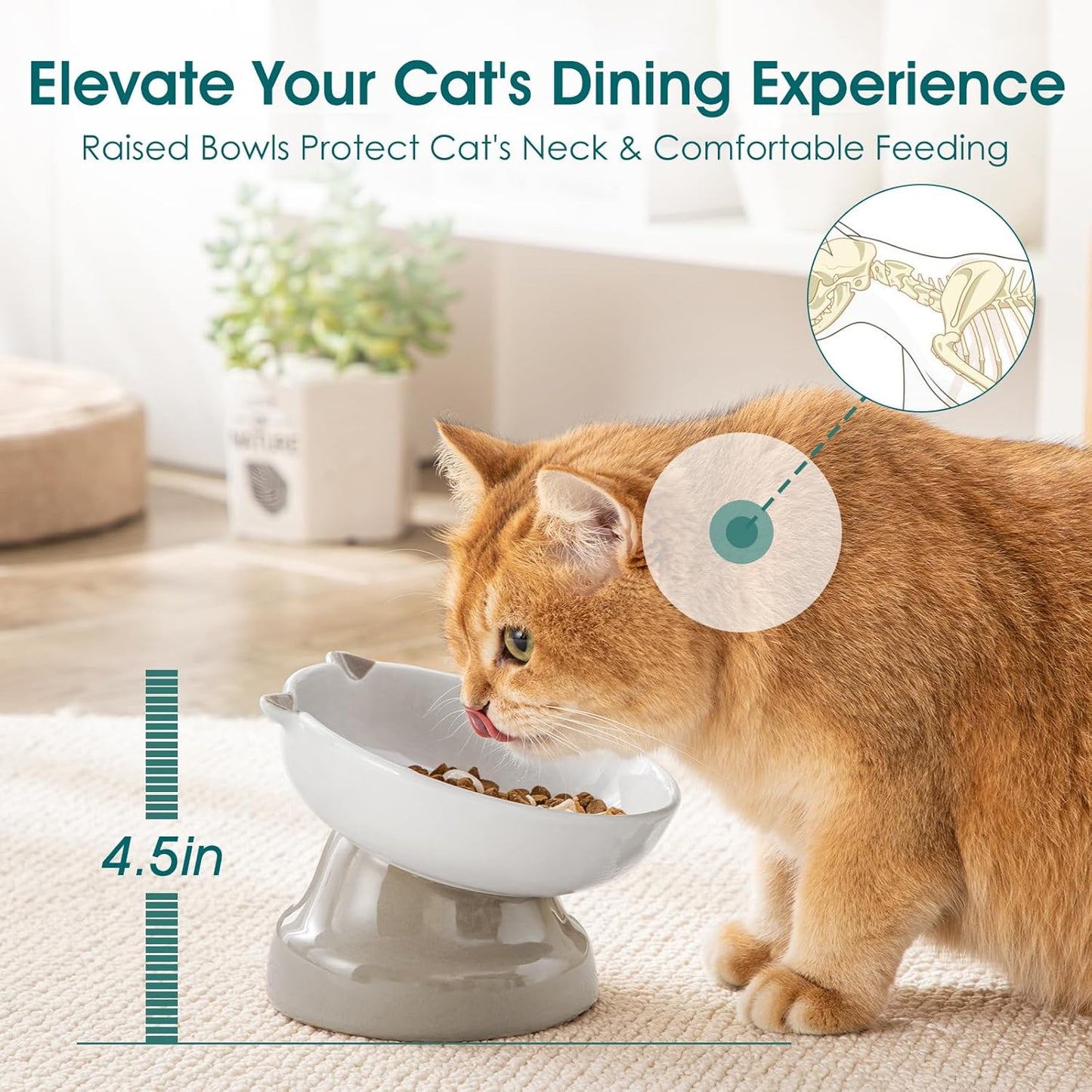 vancasso Ceramic Elevated Slow Feeder Cat Bowls,Slow Feeder Elevated Cat Bowl Wet Food, Raised Cats Bowl for Indoor Cats (Grey)