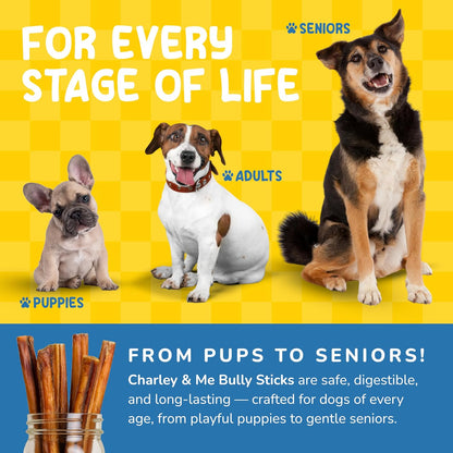 CHARLEY & ME All-Natural Bully Sticks for Dogs Made in The USA - Low-Odor, Rawhide-Free 6” Beef Chews for Aggressive Chewers & Dental Health (Pack of 12)